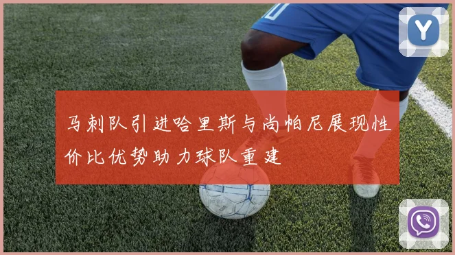 马刺队引进哈里斯与尚帕尼展现性价比优势助力球队重建