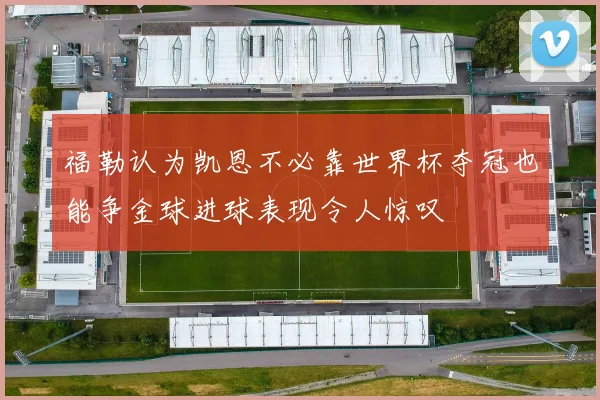 福勒认为凯恩不必靠世界杯夺冠也能争金球进球表现令人惊叹